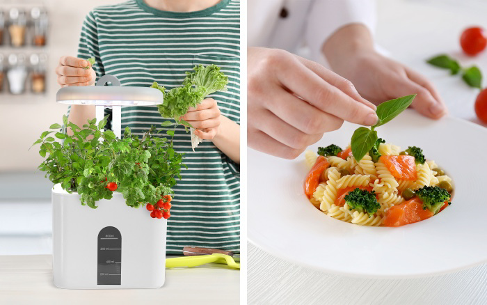 Dr Goodrow Mini Garden Reviews