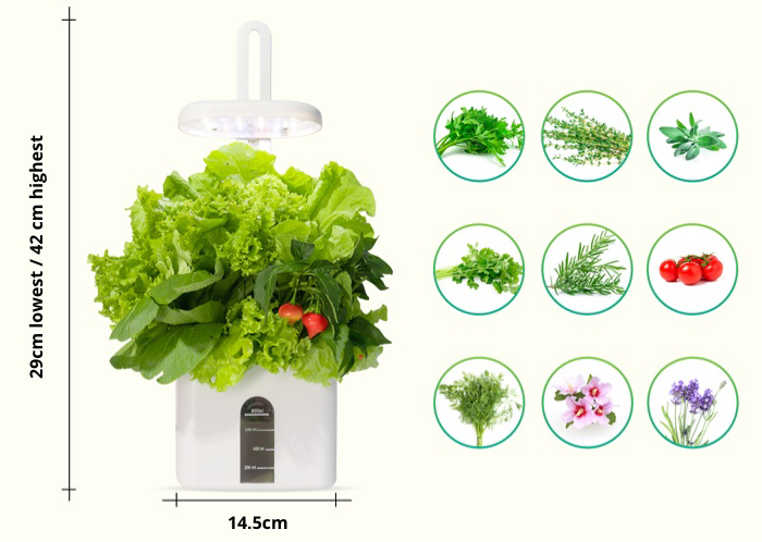 Dr Goodrow Mini Garden Reviews
